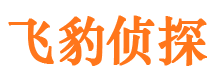 丰满市私家侦探